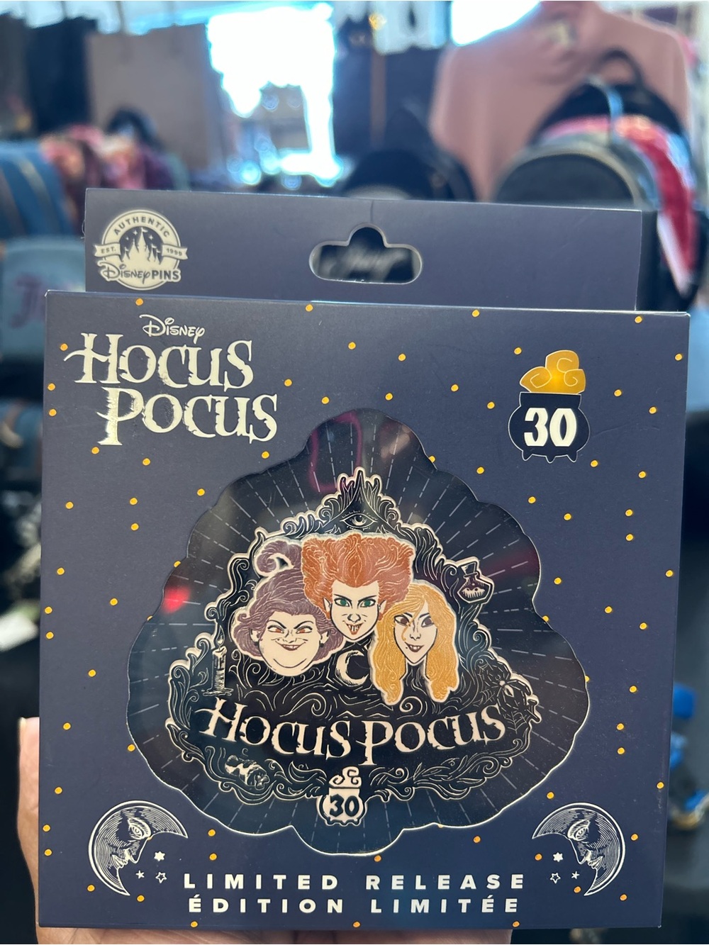 NWT Disney Hocus Pocus 30th Anniversary Jumbo Pin Limited Release